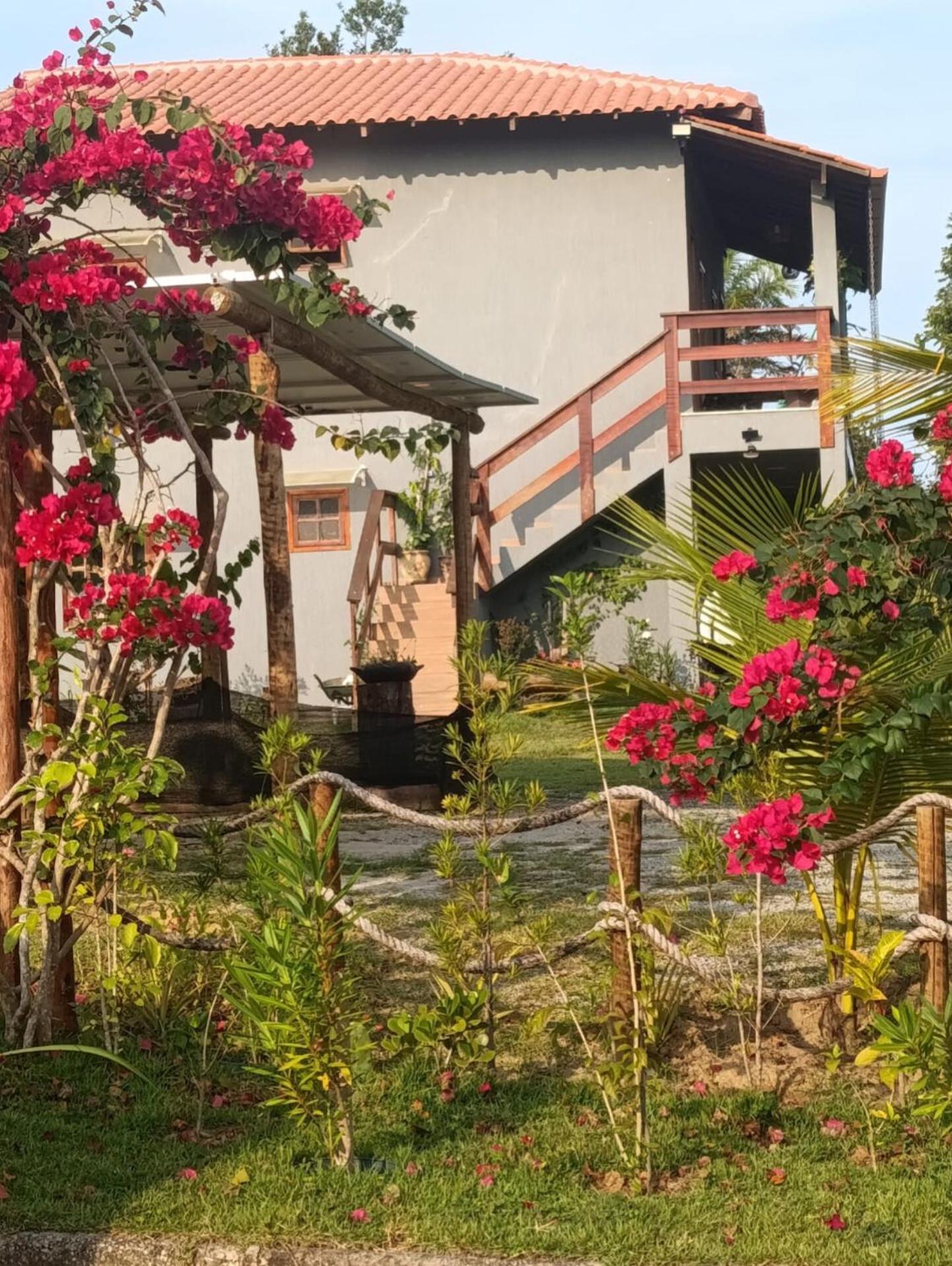 Morada Dos Passarosp